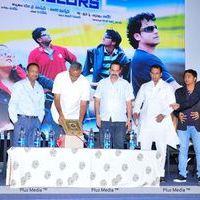 Bachelors 2 audio release function - Pictures | Picture 119214